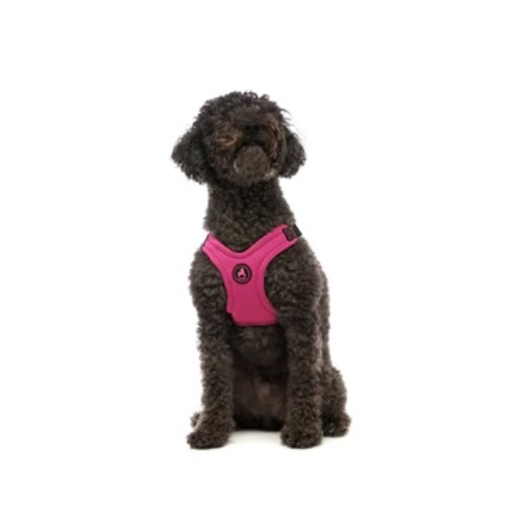 Gooby Sport Escape Free Sports Harness, Size Large